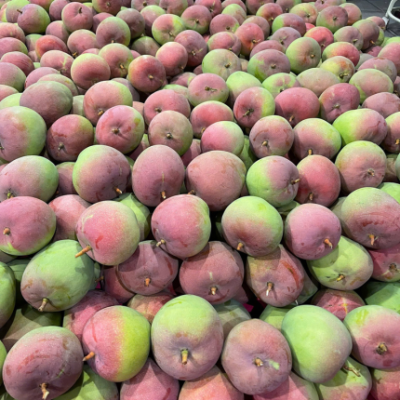 Thiết kế chưa có tên (3) Thiết kế chưa có tên (3)